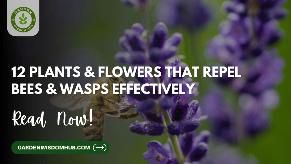 12 Plants & Flowers That Repel Bees & Wasps Effectively