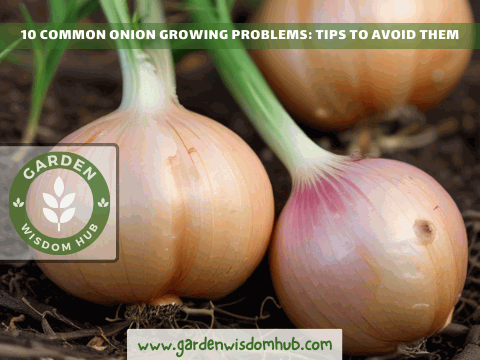 Onion Growing Problems Tips to Avoid Them