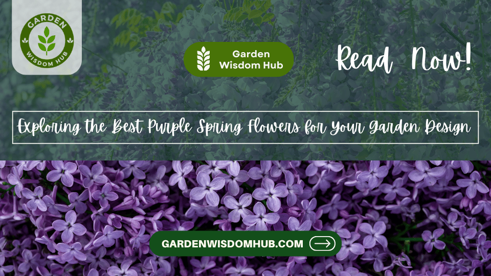 Exploring the Best Purple Spring Flowers for Your Garden Design