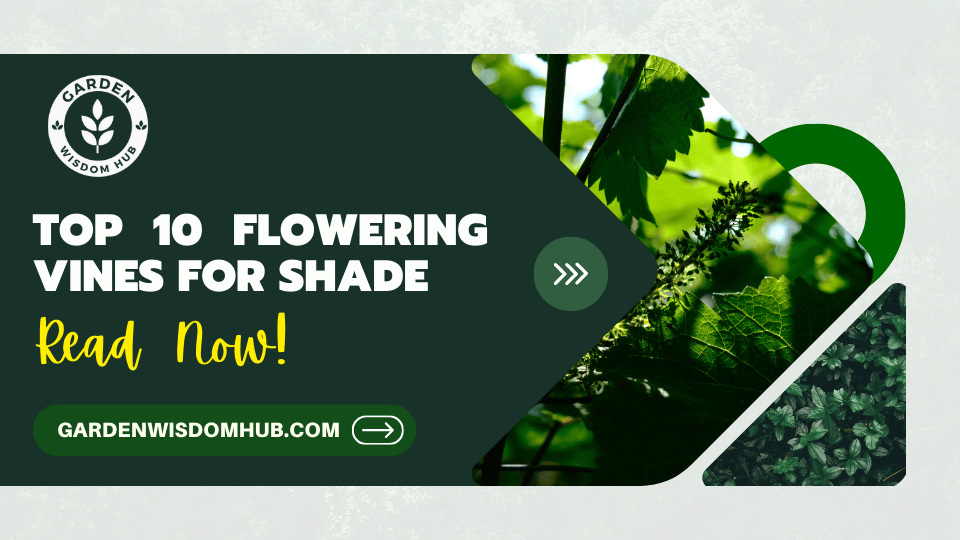 Top 10 Flowering Vines for Shade